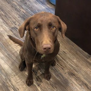 Meet your Posher, Micah